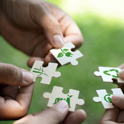 Sustainability Strategy 2.png